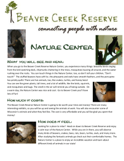 Nature Center What you will see and hear