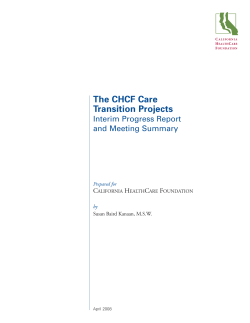 Interim Progress Report and Meeting Summary