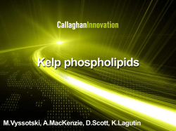 Kelp phospholipids