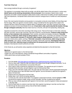 Food Chain Virtual Lab How is energy transferred through a