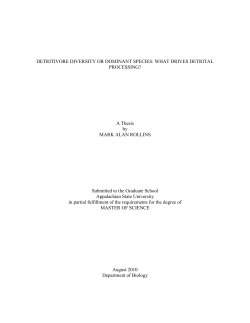 Detritivore Diversity or Dominant Species: What Drives Detrital