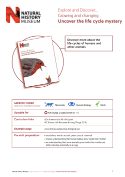 Teachers` notes and certificate PDF