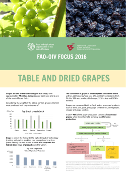 table and dried grapes - International Organisation of Vine and Wine