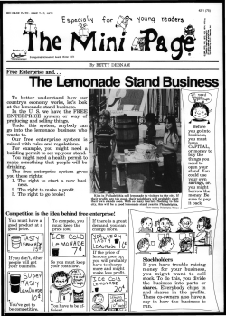 The Lemonade Stand Business