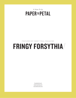 Forsythia Paper FLowers from Thuss and Farrell