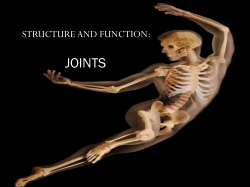 Structure and Function of Joints