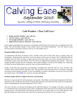 2015 September Cold Weather = Poor Calf Care?
