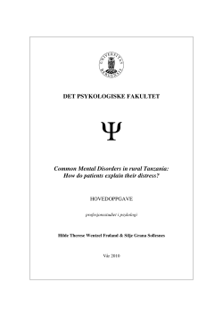 Common Mental Disorders in rural Tanzania - (BORA)