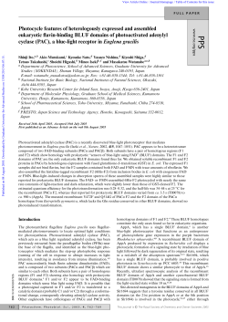 Photocycle features of heterologously expressed and assembled