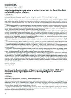 Mitochondrial sequence variation in ancient horses from the