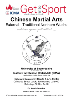 Traditional Chinese Wushu - Chinese Boxing