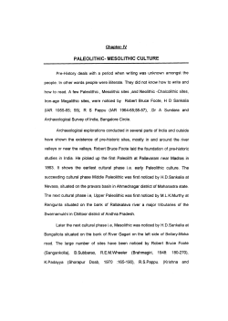 PALEOLITHIC- MESOLITHIC CULTURE