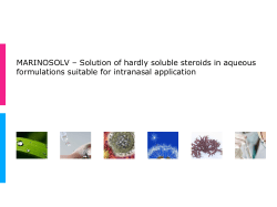 MARINOSOLV &ndash; Solution of hardly soluble steroids in aqueous