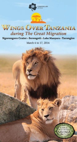 during The Great Migration
