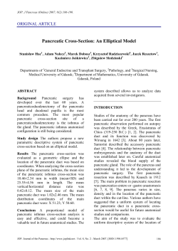 Pancreatic Cross-Section: An Elliptical Model
