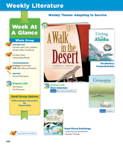 A Walk in the Desert