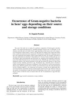 Occurrence of Gram-negative bacteria in hens` eggs depending on
