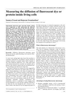 Measuring the diffusion of fluorescent dye or protein inside living cells