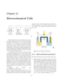 Electrochemical Cells