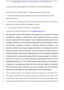 Cryo-EM structure of haemoglobin at 3.2 A determined with