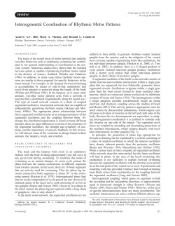 Intersegmental Coordination of Rhythmic Motor