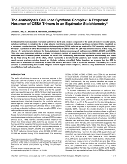 The Arabidopsis Cellulose Synthase Complex: A
