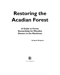 Restoring the Acadian Forest - Soren Bondrup
