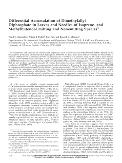 Differential Accumulation of Dimethylallyl