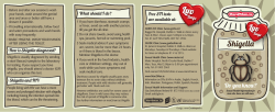- Health Promotion.ie