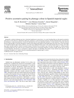 Positive assortative pairing by plumage colour in Spanish imperial