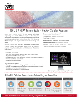 Hockey Scholar Program - Future Goals