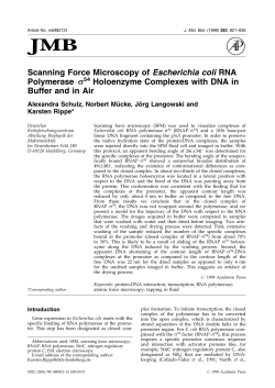 Scanning Force Microscopy of Escherichia coli RNA polymerase