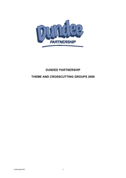 dundee partnership theme and crosscutting groups 2009