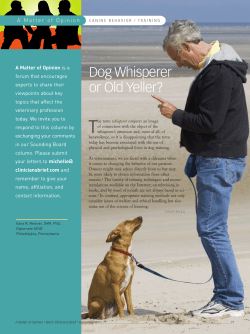 Dog Whisperer or Old Yeller?