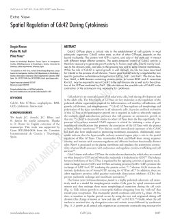 Spatial Regulation of Cdc42 During Cytokinesis