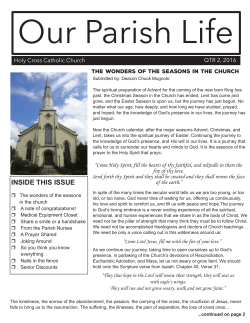 Newsletter - Holy Cross Catholic Church