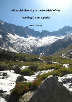 Microbial diversity in the forefield of the receding Damma glacier