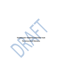 TECHNOLOGY TRANSFER STRATEGIC PLAN The University of