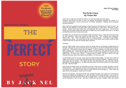 The Perfect Story By Tristan Nel