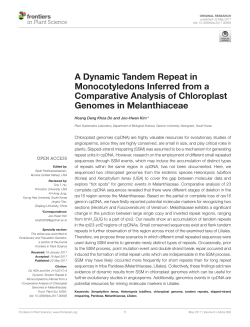 A Dynamic Tandem Repeat in Monocotyledons Inferred