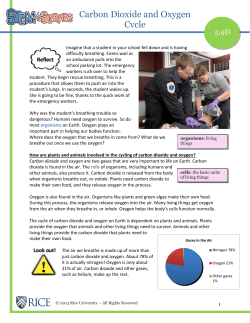 Carbon Dioxide and Oxygen Cycle