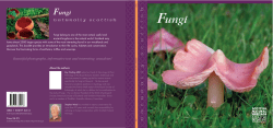 Fungi - Naturally Scottish - Scottish Natural Heritage