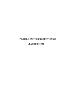 profile on the production of leather shoe