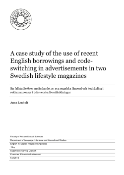 A case study of the use of recent English borrowings