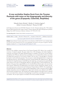 A new anchialine Stephos Scott from the Yucatan Peninsula with