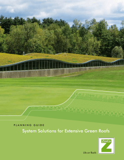 System Solutions for Extensive Green Roofs