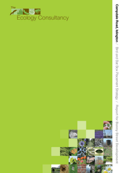 C a m p d a le R o a d , Islin g to n / Bird an d B at Box Placemen t