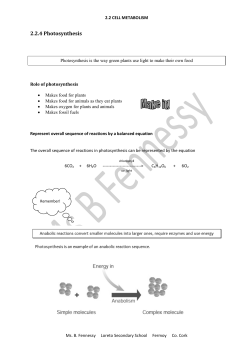 2.2.4 Photosynthesis