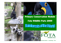 Rainforests of the world - Discover Primary Science