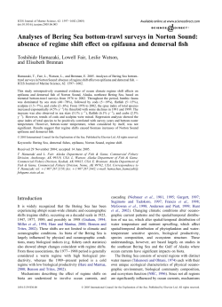 Analyses of Bering Sea bottom-trawl surveys in Norton Sound